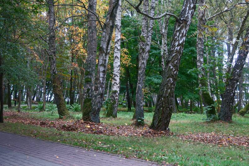 https://upforme.ru/uploads/0017/d2/91/11/844592.jpg