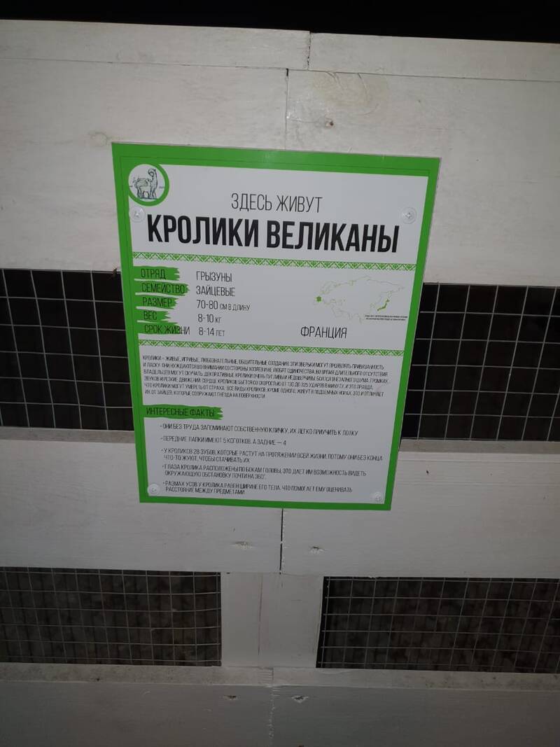 https://upforme.ru/uploads/0017/d2/91/11/898455.jpg