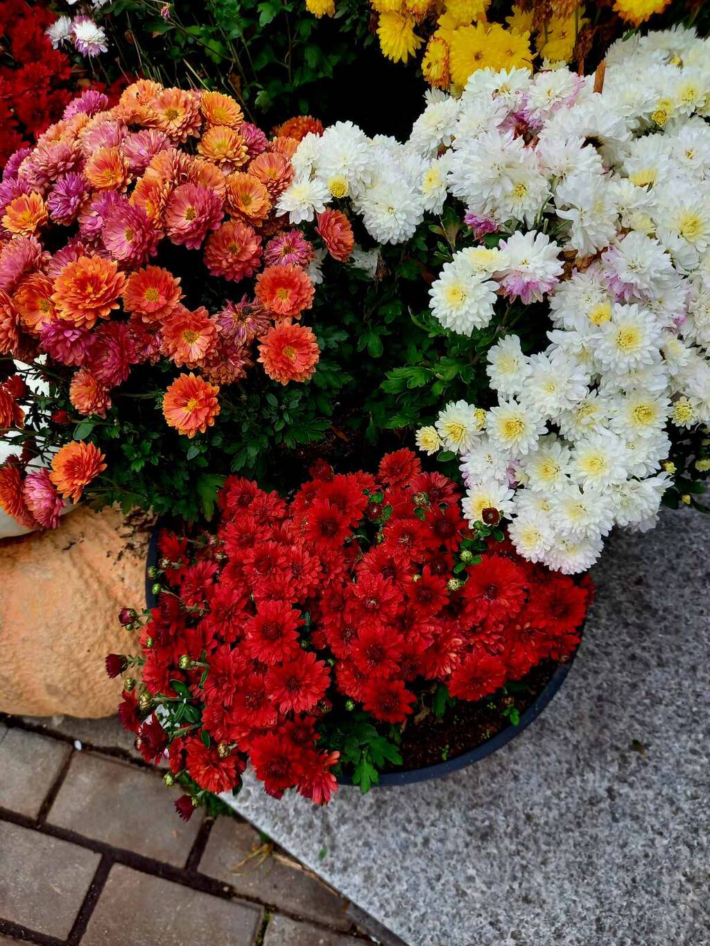 https://upforme.ru/uploads/0017/d2/91/11/907878.jpg