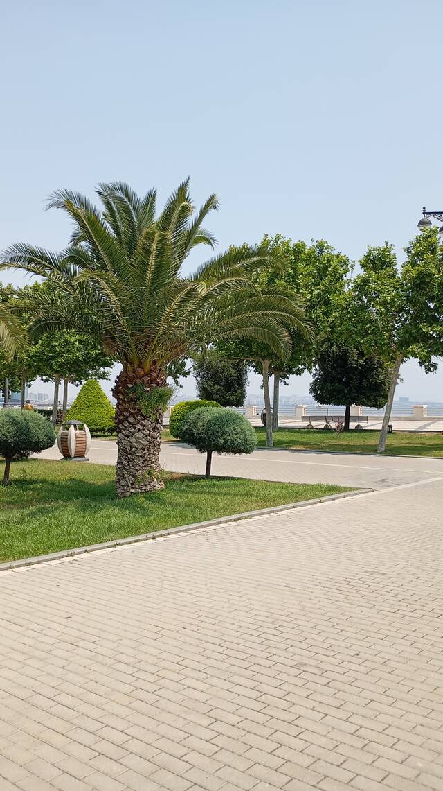 https://upforme.ru/uploads/0017/d2/91/1662/338402.jpg