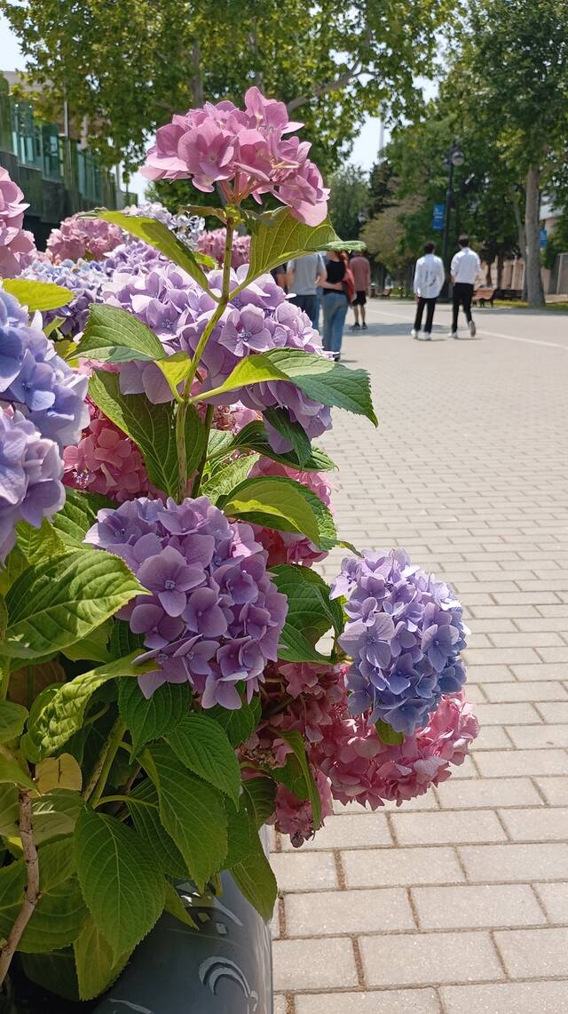 https://upforme.ru/uploads/0017/d2/91/1662/393323.jpg