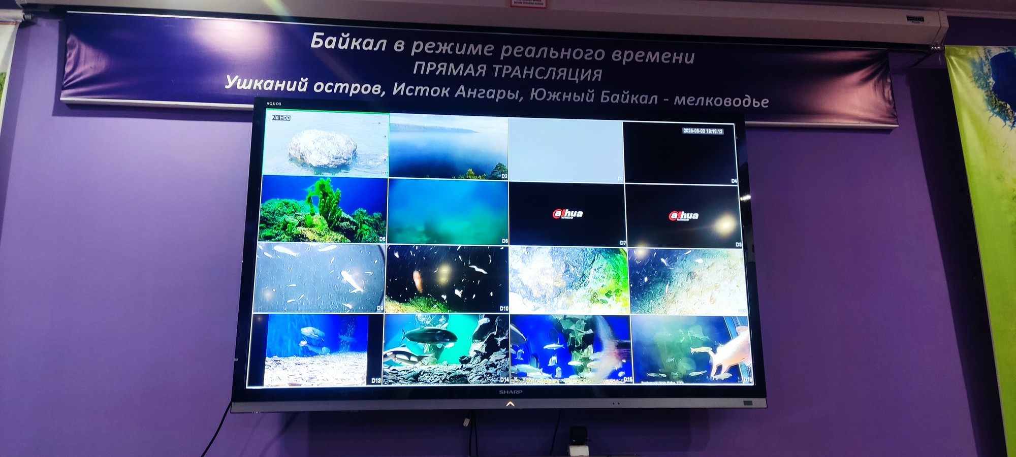 https://upforme.ru/uploads/0017/d2/91/173/17708.jpg