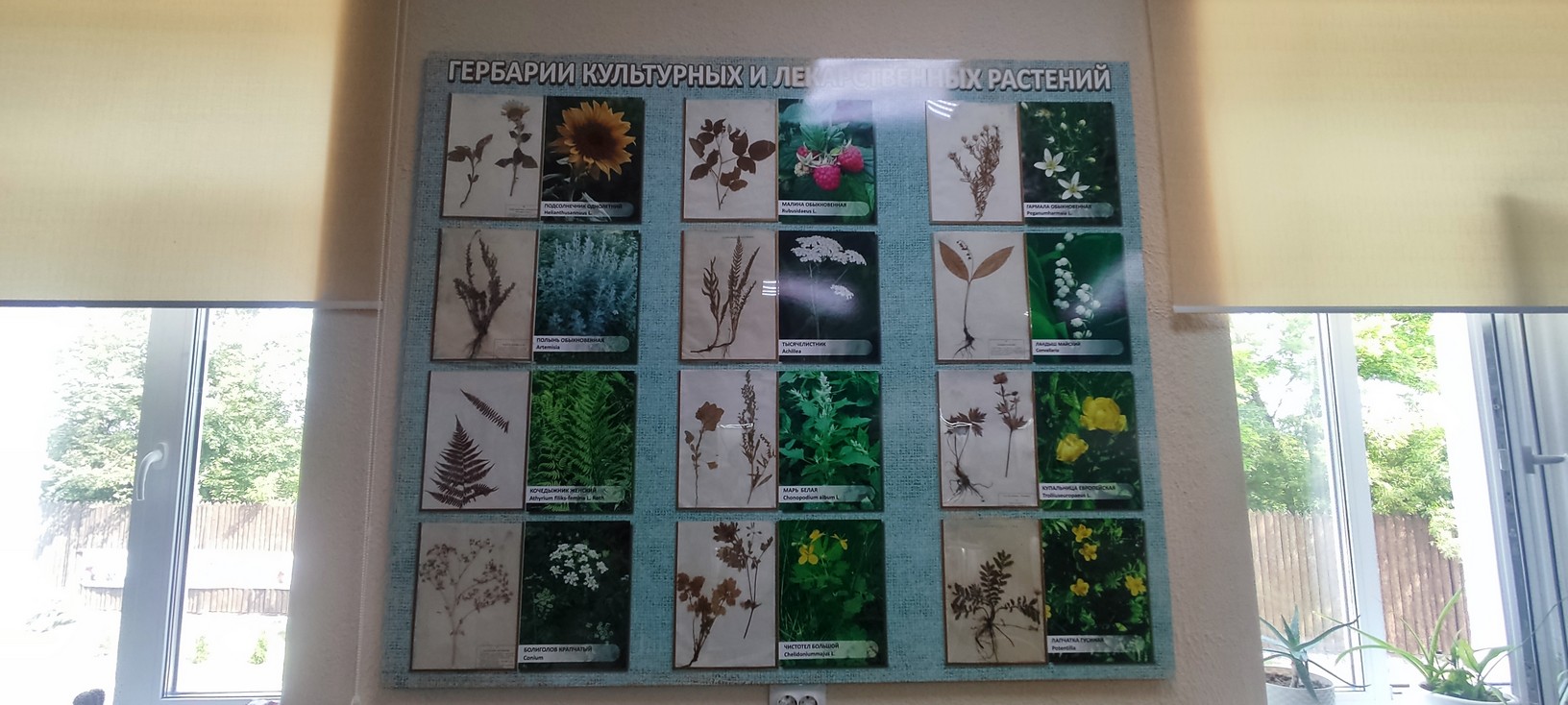 https://upforme.ru/uploads/0017/d2/91/173/216112.jpg