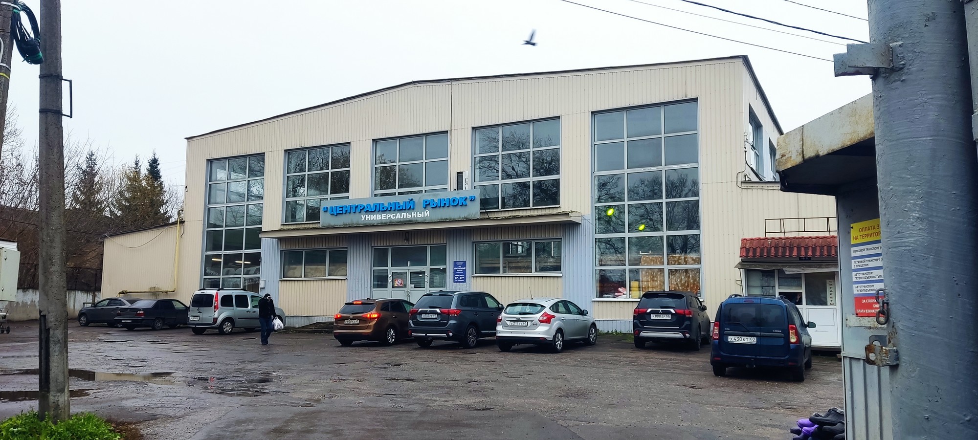 https://upforme.ru/uploads/0017/d2/91/173/779782.jpg