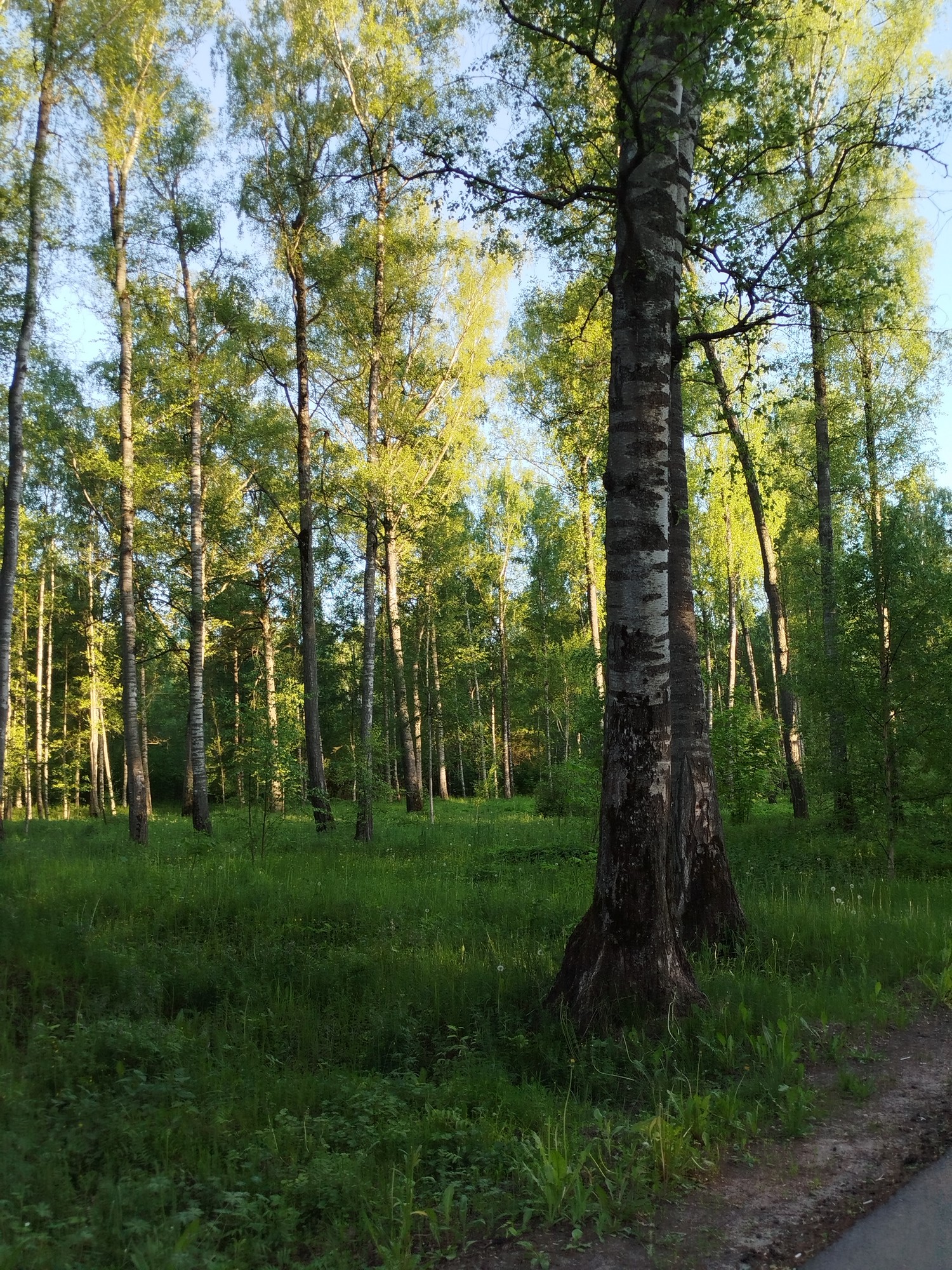 https://upforme.ru/uploads/0017/d2/91/173/794564.jpg