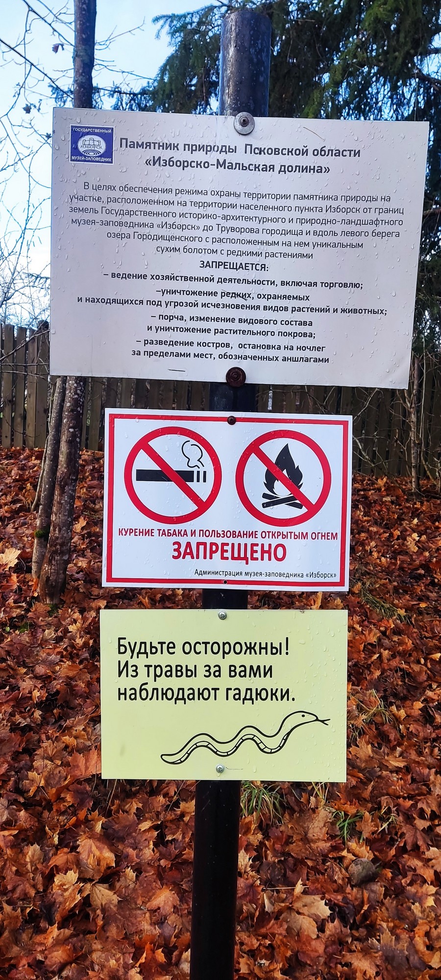 https://upforme.ru/uploads/0017/d2/91/173/83688.jpg