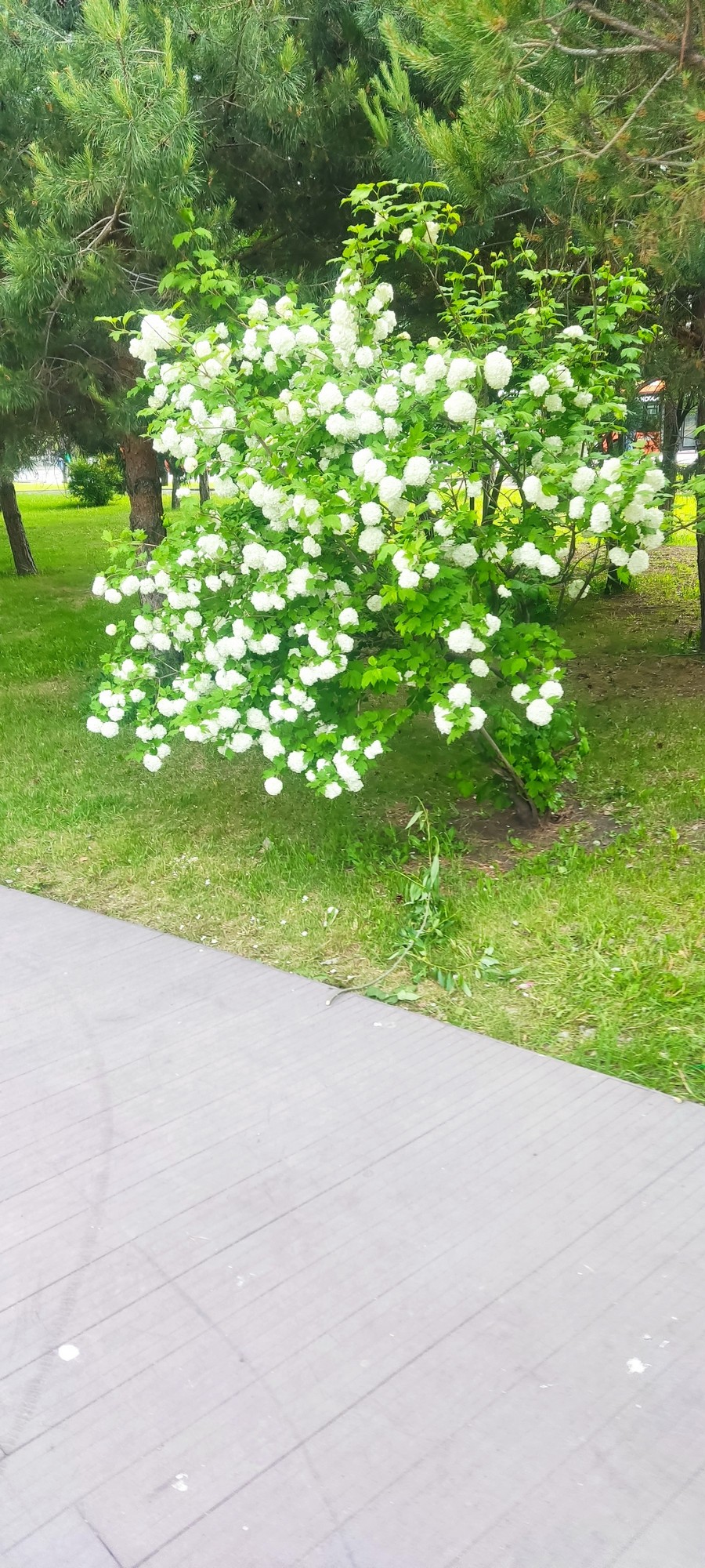 https://upforme.ru/uploads/0017/d2/91/173/995261.jpg