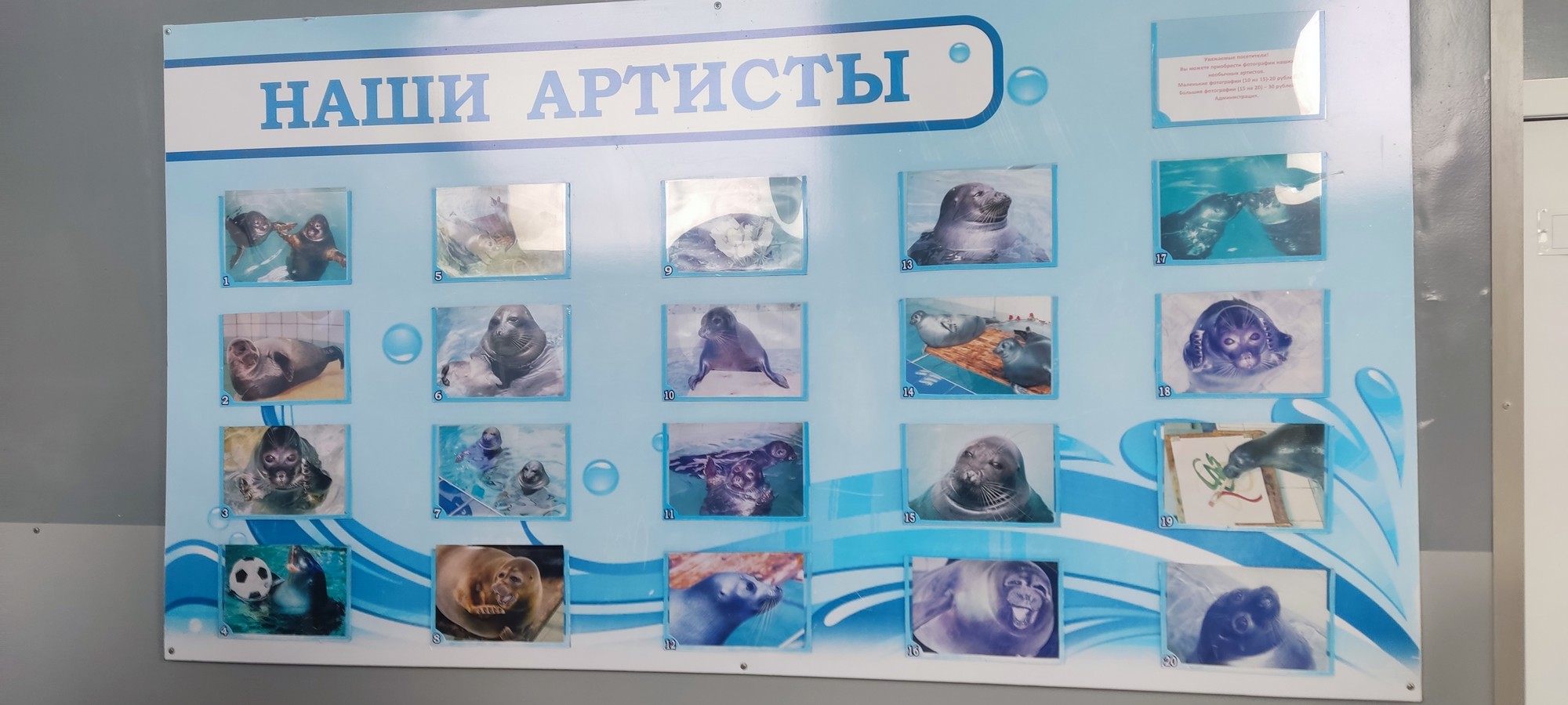 https://upforme.ru/uploads/0017/d2/91/173/997946.jpg