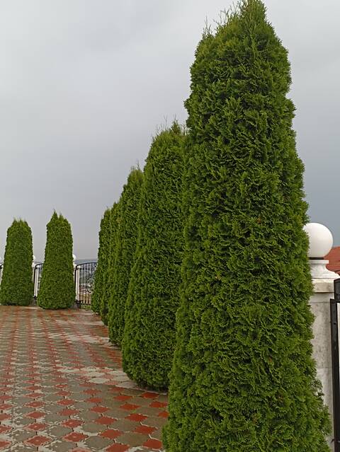 https://upforme.ru/uploads/0017/d2/91/23/t761165.jpg