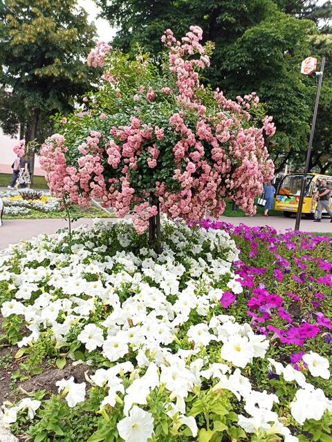 https://upforme.ru/uploads/0017/d2/91/23/t939853.jpg