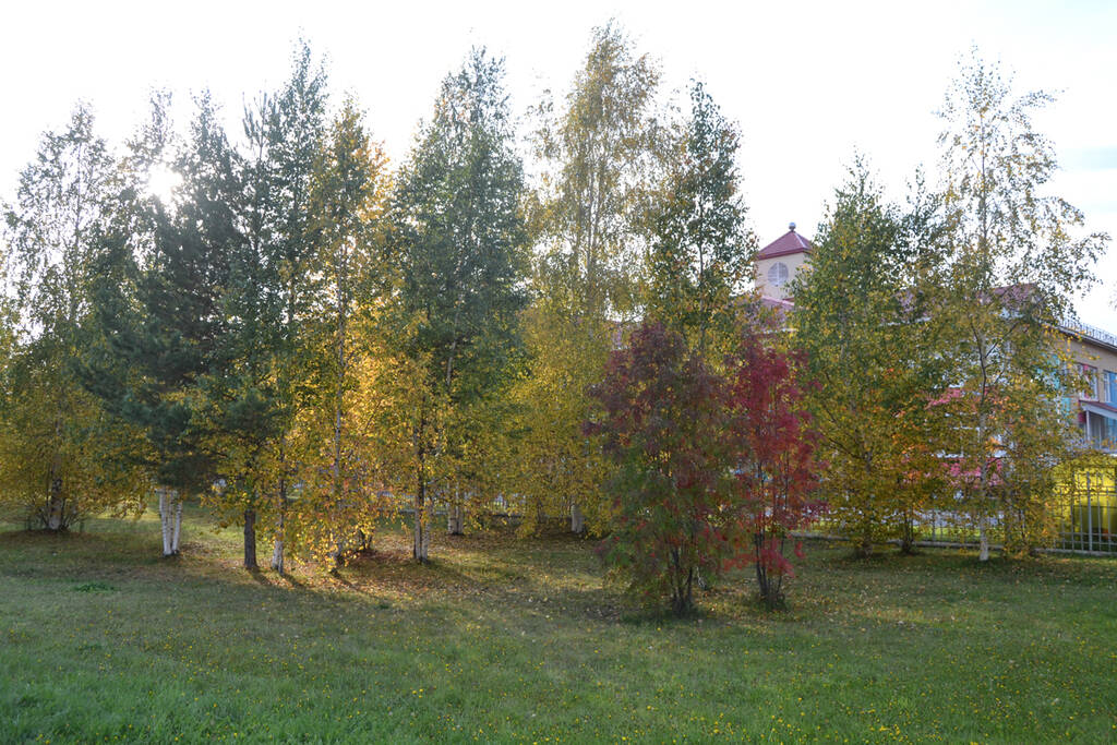 https://upforme.ru/uploads/0017/d2/91/26/120859.jpg
