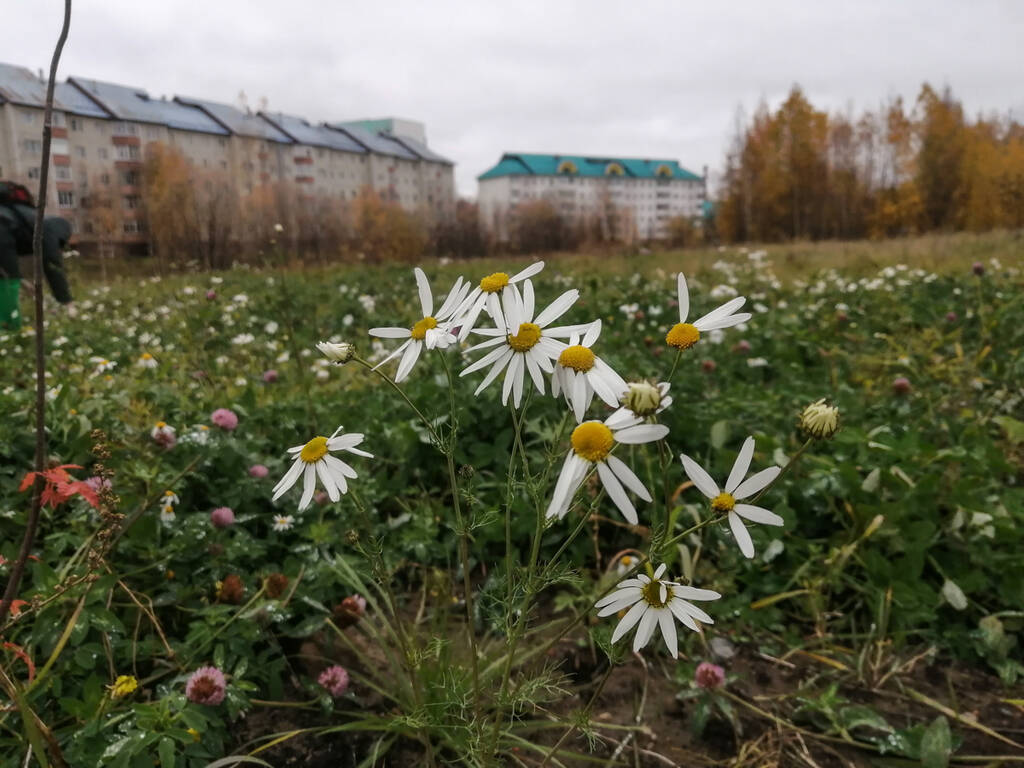 https://upforme.ru/uploads/0017/d2/91/26/300263.jpg