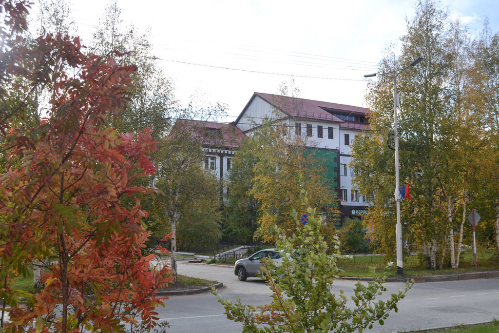 https://upforme.ru/uploads/0017/d2/91/26/475929.jpg