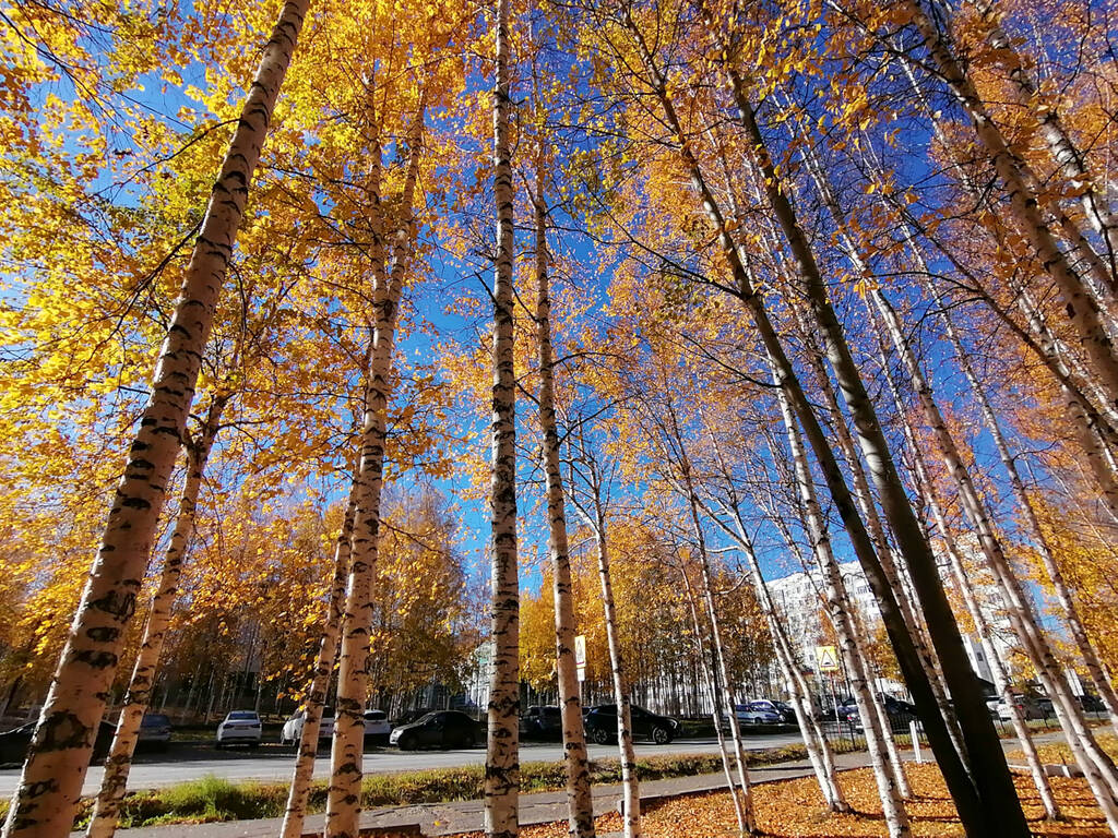 https://upforme.ru/uploads/0017/d2/91/26/491286.jpg
