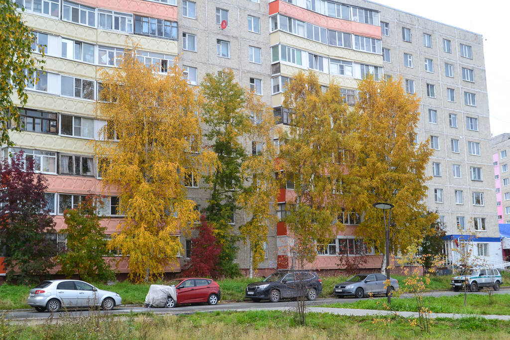 https://upforme.ru/uploads/0017/d2/91/26/695512.jpg