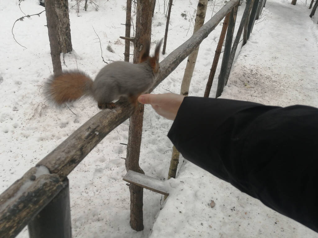 https://upforme.ru/uploads/0017/d2/91/26/868873.jpg