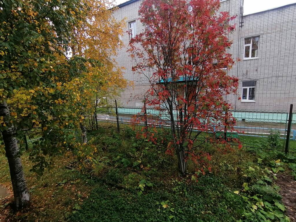 https://upforme.ru/uploads/0017/d2/91/26/951766.jpg