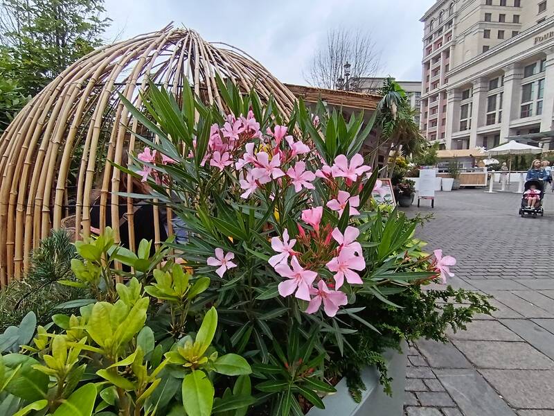 https://upforme.ru/uploads/0017/d2/91/28/963687.jpg