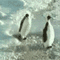 https://upforme.ru/uploads/0017/d3/e6/97/957061.gif