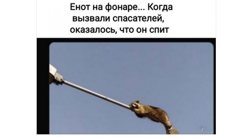 https://upforme.ru/uploads/0017/e1/fd/234/t946309.png