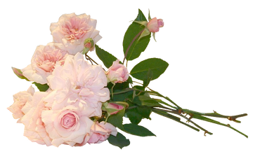 https://upforme.ru/uploads/0017/ec/37/212/t869211.png