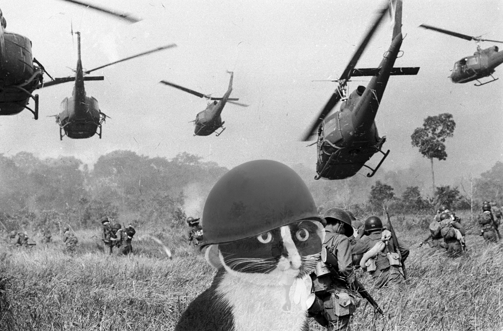 https://upforme.ru/uploads/0017/ec/37/3/113644.png