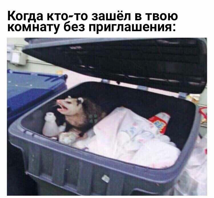 https://upforme.ru/uploads/0017/ec/37/3/630393.png