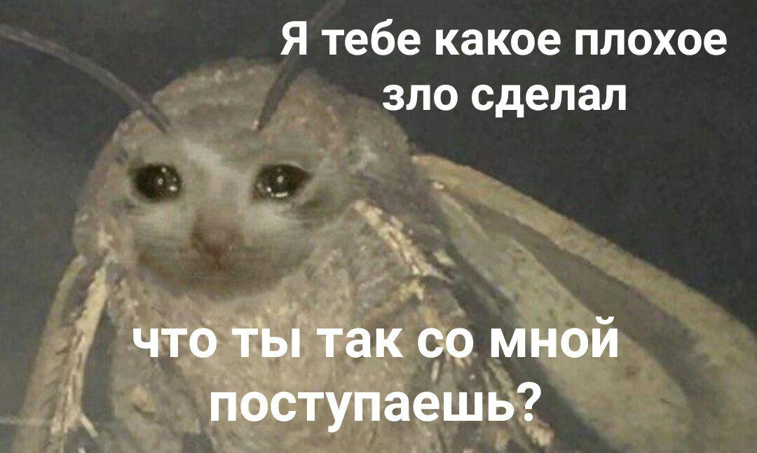 https://upforme.ru/uploads/0017/ec/37/3/831196.png