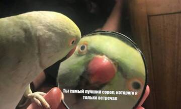 https://upforme.ru/uploads/0017/ec/37/5/t709661.jpg
