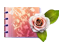 https://upforme.ru/uploads/0017/ef/32/2/293682.png