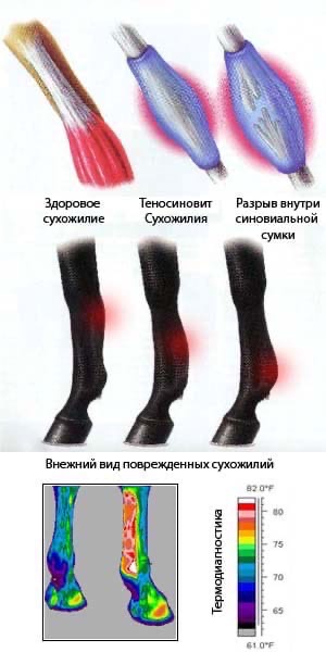 https://upforme.ru/uploads/0017/f8/d1/4/t854475.jpg