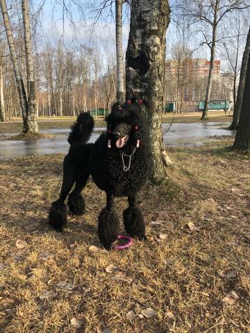 https://upforme.ru/uploads/0017/ff/22/2/t280522.jpg