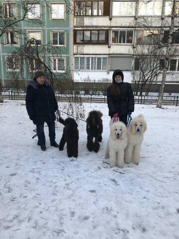 https://upforme.ru/uploads/0017/ff/22/2/t495844.jpg