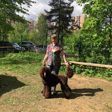 https://upforme.ru/uploads/0017/ff/22/2/t591140.jpg