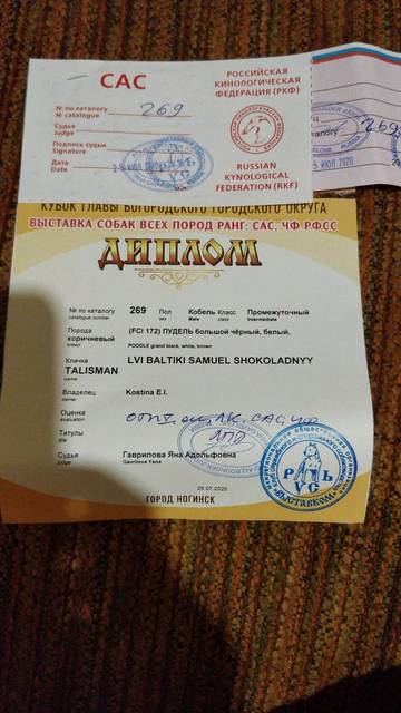 https://upforme.ru/uploads/0017/ff/22/2/t725996.jpg