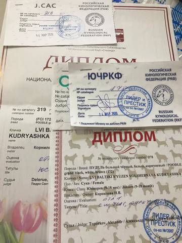 https://upforme.ru/uploads/0017/ff/22/2/t96083.jpg