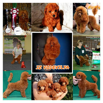https://upforme.ru/uploads/0017/ff/22/254/t569691.jpg