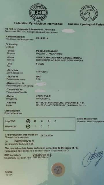 https://upforme.ru/uploads/0017/ff/22/37/t242617.jpg