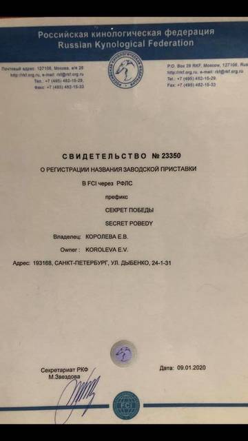https://upforme.ru/uploads/0017/ff/22/37/t53801.jpg