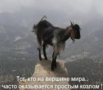 &#128681; . #2