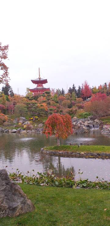 Краснодар. Японский сад. Краснодар. Японский сад.