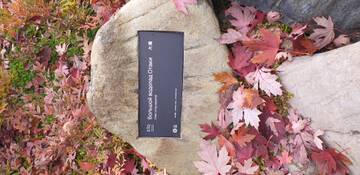 Краснодар. Японский сад. Краснодар. Японский сад.