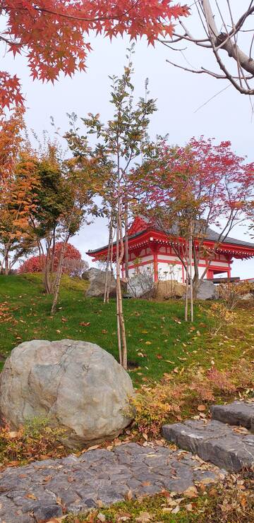 Краснодар. Японский сад. Краснодар. Японский сад.