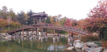 Краснодар. Японский сад. Краснодар. Японский сад.