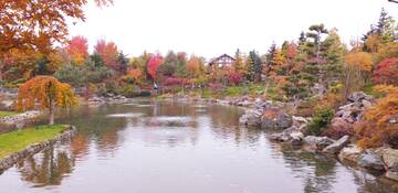 Краснодар. Японский сад. Краснодар. Японский сад.