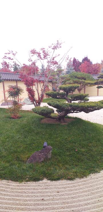 Краснодар. Японский сад. Краснодар. Японский сад.