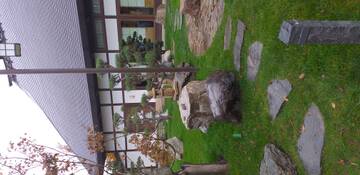 Краснодар. Японский сад. Краснодар. Японский сад.