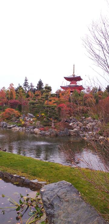 Краснодар. Японский сад. Краснодар. Японский сад.