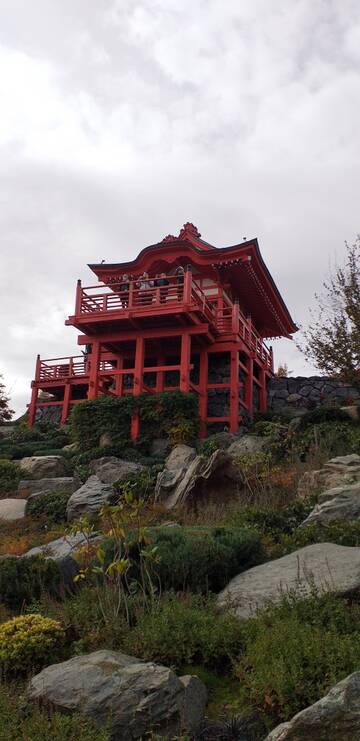 Краснодар. Японский сад. Краснодар. Японский сад.