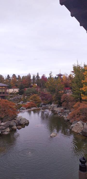 Краснодар. Японский сад. Краснодар. Японский сад.